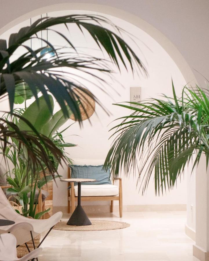 Casa Du Soleil Hostal Boutique มาดริด ภายนอก รูปภาพ